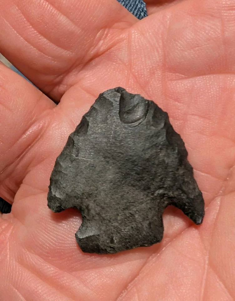 ERB BASAL NOTCH, 1 3/16", PA, SCARCE TYPE, Black Chert, Authentic Arrowhead  - Image 1 of 4