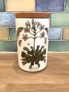 PORTMEIRION LARGE BOTANIC GARDEN STORAGE JAR: VENUS'S FLY TRAP - EARLY BACKSTAMP - Picture 1 of 9