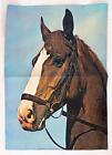 Poster Pferd Pferdeposter No217 Bliss Wagner Graphics 70er Jahre 85x61cm
