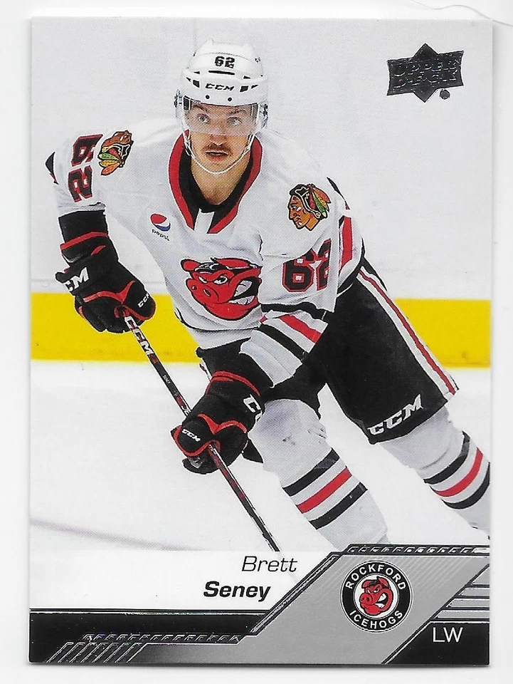 22/23 2022 UPPER DECK UD AHL HOCKEY BASE CARDS (1-100) U-Pick From List - Image 1 of 1