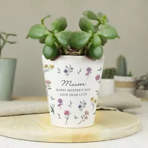 Personalised Plant Pot Wild Flowers Mother's Day Gift Birthday Gift Gift for Mum - Picture 1 of 5