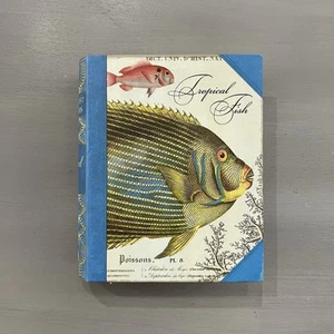 Michel Design Works Tropical Fish Notecard Book Box 20 Blank Cards 4 Designs New - Picture 1 of 9