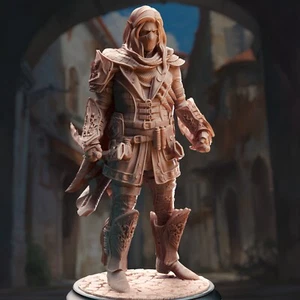 DM Stash Miniatures Elf Male Thief Rogue Assassin Dungeons & Dragons DnD D&D RPG - Picture 1 of 3
