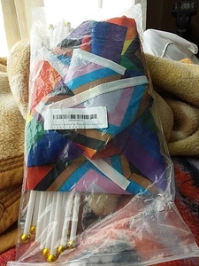 12er Set Rainbow Pride Handfahnen - Bild 1 von 5