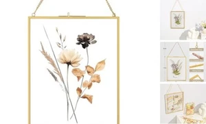 8x10 Gold Floating Picture Frames, Double Glass Hanging Frame for Pressed - Picture 1 of 8