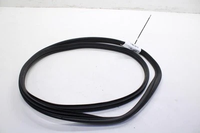 2020-2022 Hyundai Sonata SE Front Left Door Weatherstrip On Body 82110-L0000 OEM - Image 1 of 4