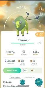 Shiny Tauros ✨ - Bild 1 von 2