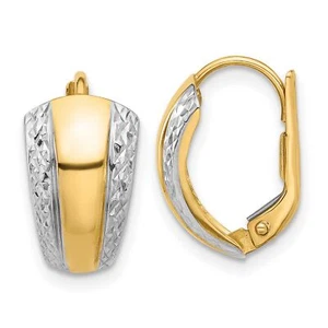 14k Two-Tone Gold Polished and Diamond-cut Leverback Earrings - Picture 1 of 7