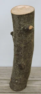 10" Apple Wood Stick Log Chunk Carving Blank Staff Crafts Straight 2 1/8~2 3/8"D - Picture 1 of 11