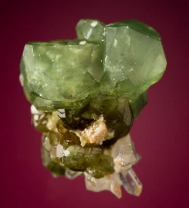 Colección Melanson TN Andradite var Demantoid Erongo Region, Namibia 1212-5687 - Imagen 1 de 4