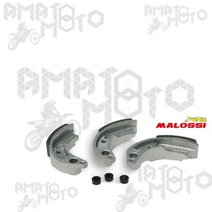 COMPLESSIVO MASSE MALOSSI PER FRIZIONE AUTOMATICA 527880 REGOLABILE Ø 107 - Imagen 1 de 1