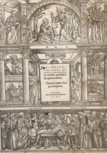 Antique Etching Original Frontispiece of the Methodus Medendi - Picture 1 of 8