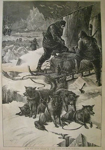 FOLIO GRANDE VIAJE EN TRINEO EXPLORACIÓN ÁRTICA BRITÁNICA, HARPER’S SEMANAL 1876 - Imagen 1 de 2