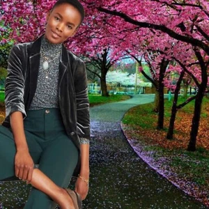 Anthropologie Alessia Velvet Blazer Single Breasted Jacket Velour Collared Coat - Picture 1 of 9