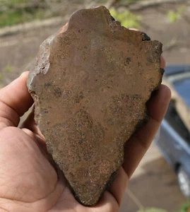 Howardite HED Meteorite Slice - 5,7" Acondrite dall'asteroide Vesta, 308 g - Foto 1 di 4
