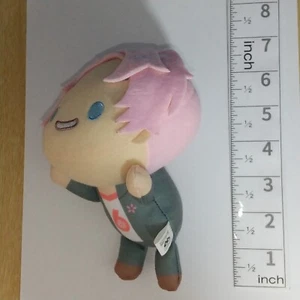 A77666 THE IDOLM@STER SideM x SANRIO Nesoberi Plüsch Maskottchen Schlüsselanhänger Daigo Kabuto - Bild 1 von 4