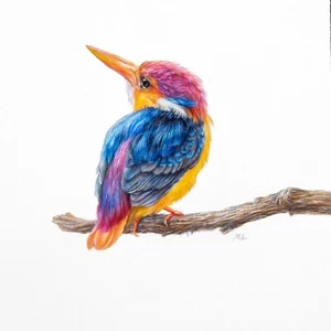 ORIGINAL Watercolour Painting Rainbow Kingfisher 10” × 10” by Mila Ansell - Picture 1 of 2