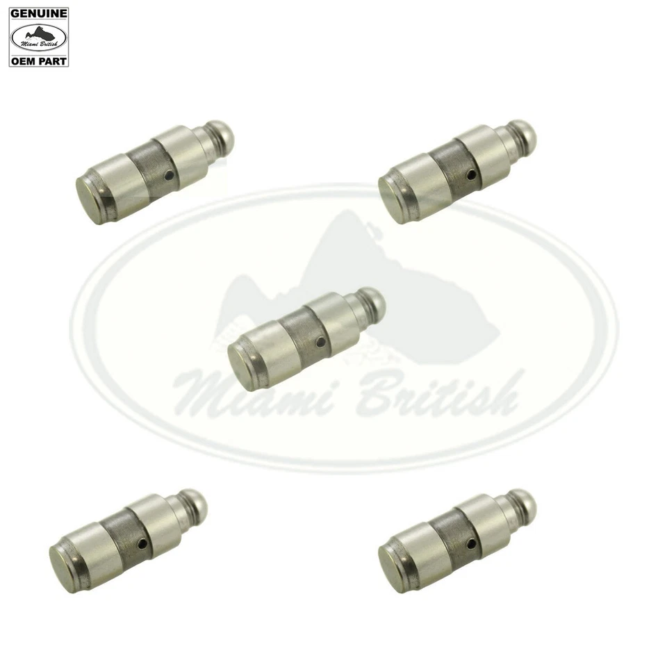 JUEGO AJUSTADOR DE PESTAÑAS LAND ROVER x5 Td5 DEFENDER DISCOVERY ERR7233 OEM Foto 1 de 1