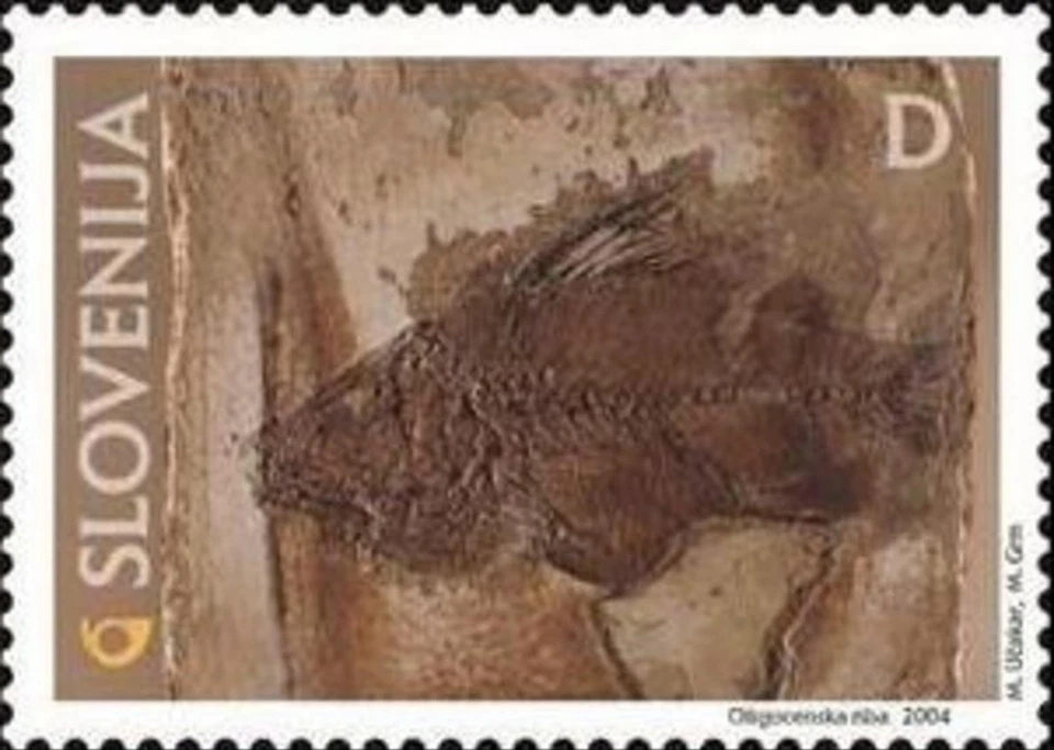 Slovenia 2004 ☀ Mi.Nr. 466 Fossils - Fish 1v ☀ MNH** - Image 1 of 1