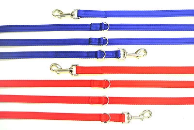 Police Style Dog Training Lead 8ft 11ft Obedience 20mm Cushion Webbing Red Blue - Image 1 of 4
