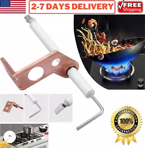 Repuesto para sensor de llama de horno Coleman pieza 7975-3881 7975 388P/A DGAT - Imagen 1 de 16