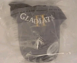 Sombrero Promocional Gladiator 2 Película NUEVO en Embalaje Original TALLA ÚNICA Gris Oscuro - Imagen 1 de 24