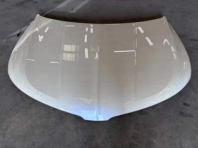 16-18 LINCOLN MKX CAPÓ DELANTERO CARCASA CUBIERTA PANEL MARFIL PERLA FABRICANTE DE EQUIPOS ORIGINALES LOTE 3633 Foto 1 de 4