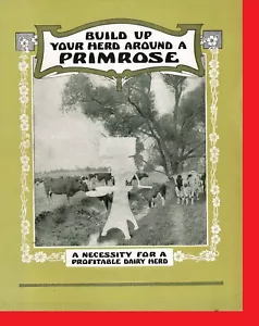 Primrose Brochure IH International McCormick-Deering Cream Separator - Picture 1 of 6
