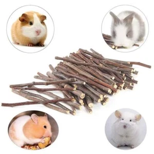 Pets Chew Sticks Guinea Pig Toys Apple Wood Rabbit Twigs for Small Hamster Best - Picture 1 of 11