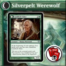 Lambholt Elder / Silverpelt Werewolf ~ MTG Magic the Gathering ~ NEW