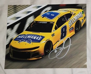 DALE EARNHARDT JR **AUTOGRAPHED** #8 HELLMANN'S IRACING 8X10 GLOSSY PHOTO #4V - Picture 1 of 1