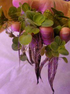 ☆50+ LEAF!☆DWARF WATER LETTUCE☆BUY 2 GET 1 FREE!!☆EXCELLENT VALUE!!☆LONG ROOTS!!