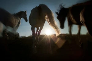 Sonnenaufgang von Milan Malovrh Fotografie Giclée Kunstdruck kostenloser Versand - Bild 1 von 4