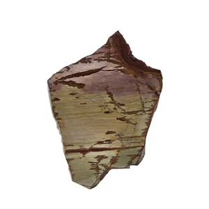 Dead Ringer Jasper, slab, cabbing rough, lapidary, #R-6335 - Picture 1 of 10