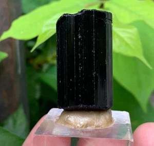 30g Natural Black Tourmaline Crystal Specimen – Raw Rough Gemstone Rock - Picture 1 of 18