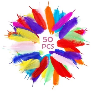 50 pcs Natural Goose Feathers 10-15 cm Swan Plume DIY Carnival Decoration Craft - Picture 1 of 13