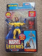 Marvel Legends   Giant Man Series   SENTRY  Bearded Variant  - ToyBiz 2006