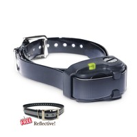 bark collars for dogs under 10 pounds