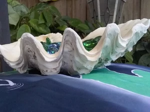Clam Shell ~ Beautiful Tridacna Shell ~Jagged ruffles and Sea life! Sits flat! - Picture 1 of 21
