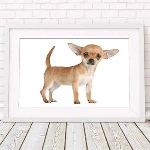 CHIHUAHUA PUPPY DOG - Cute Poster Picture Print Sizes A5 to A0 **FREE DELIVERY** - Picture 1 of 14