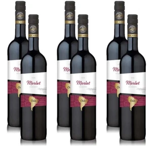 OverSeas Merlot, trocken, sortenreines Weinpaket (6x0,75l) - Bild 1 von 4
