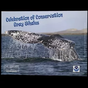 Gray Whales Glossy Printed Poster Art Ocean Beach Theme Decor 18”x24” NOS 2012 - Picture 1 of 5