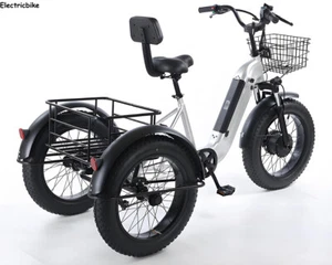 20" Electric Trike 48V 12Ah Cargo/Utility 140kg load Fat Tire E-trike for Senior - Picture 1 of 14