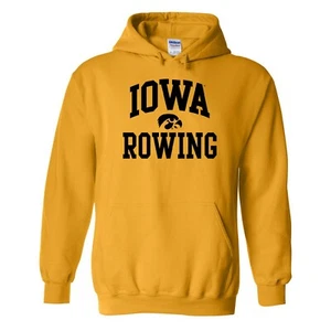 Sudadera con capucha de remo Iowa Hawkeyes Arch Logo - dorada - Imagen 1 de 6