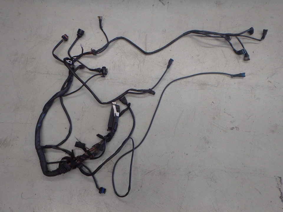 Cables arnés telar cableado motor Ferrari 550 F550 Maranello LHS 164005 J040 Foto 1 de 1