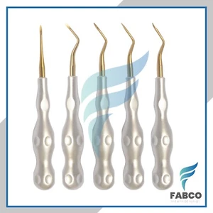 5 Stück Dental Aufzüge Zahnextraktion Luxierende Wurzelspitze Goldbeschichtete Spitze - Bild 1 von 1