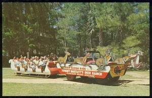 Sleighriding Gardens Florida's Silver Springs Tommy Bartlett's Vintage Postcard - Bild 1 von 1