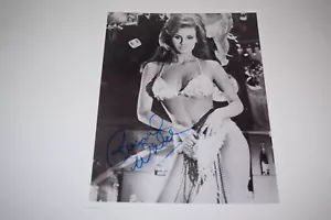 Raquel Welch pinup 8x10 glossy photo Busty Sexy Gorgeous Cleavage 1322 - Picture 1 of 1