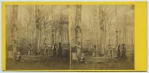 Stéréo 1860-70. Bûcherons abattant un arbre. Travail du bois. Fôret. - Imagen 1 de 2
