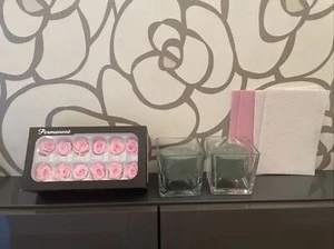 DIY 2x Vasen 2x Steckschwamm 12x echte konservierte haltbare Rosen Zartrosa Neu - Bild 1 von 12